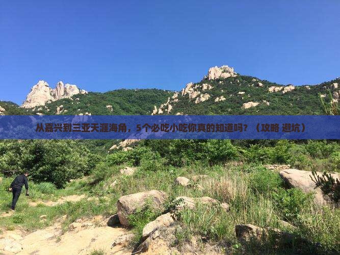 嘉兴去三亚天涯海角旅游小吃