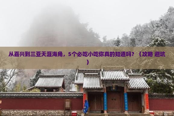 嘉兴去三亚天涯海角旅游小吃