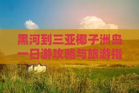 黑河去三亚椰子洲岛一日游