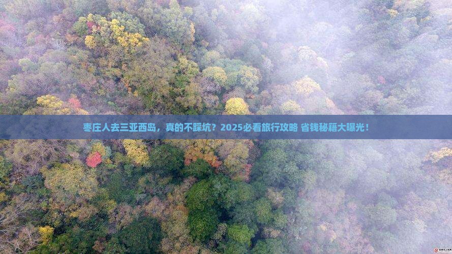枣庄去三亚西岛旅行社
