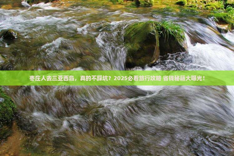 枣庄去三亚西岛旅行社