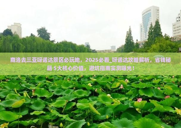 商洛去三亚呀诺达景区必玩地