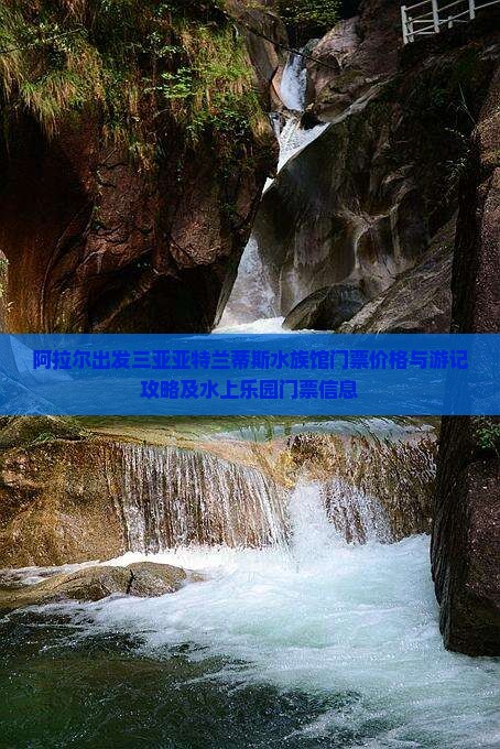 阿拉尔出发三亚亚特兰蒂斯水族馆门票