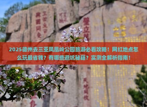 德州去三亚凤凰岭公园旅游网红地点