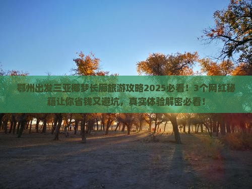 鄂州出发三亚椰梦长廊旅游网红地点