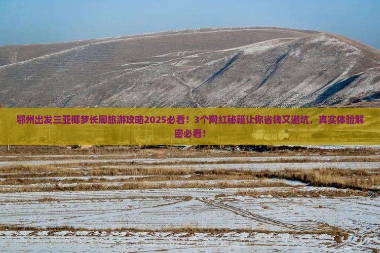 鄂州出发三亚椰梦长廊旅游网红地点