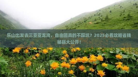 乐山去三亚亚龙湾自由团