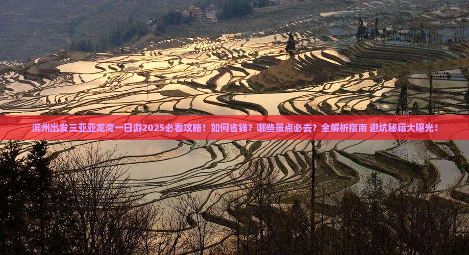 滨州出发三亚亚龙湾一日游