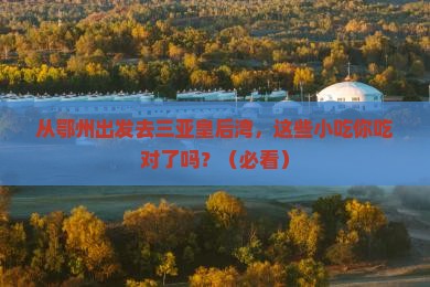 鄂州前往三亚皇后湾旅游小吃