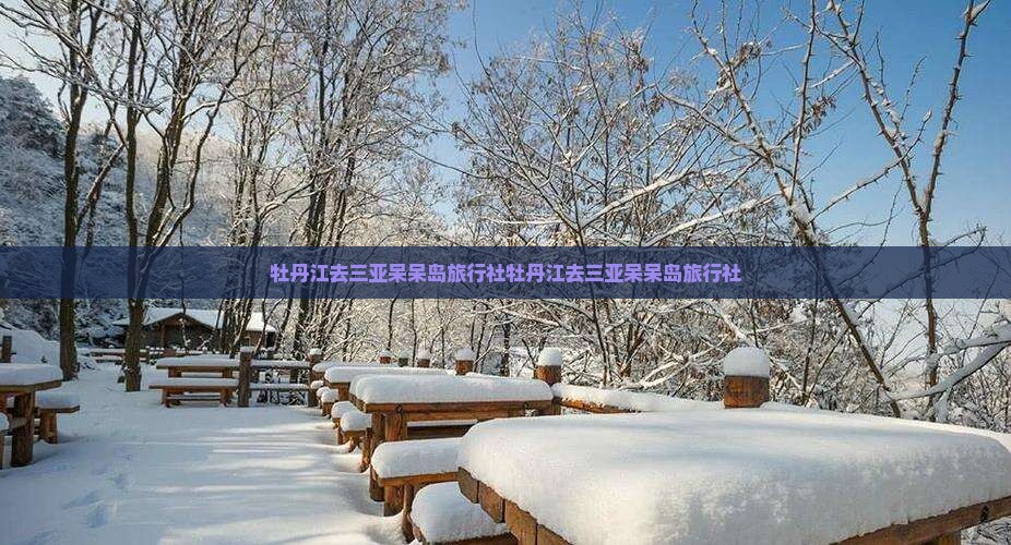 牡丹江去三亚呆呆岛旅行社
