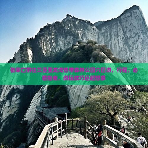 张家口前往三亚亚龙湾热带森林公园六日游