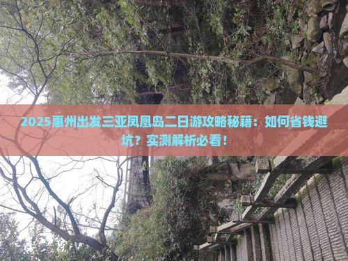 惠州出发三亚凤凰岛二日游