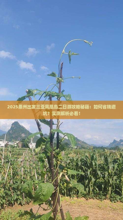 惠州出发三亚凤凰岛二日游