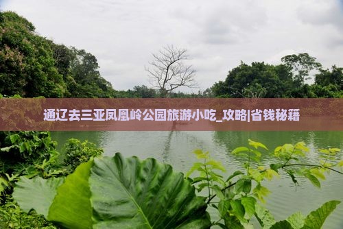 通辽去三亚凤凰岭公园旅游小吃