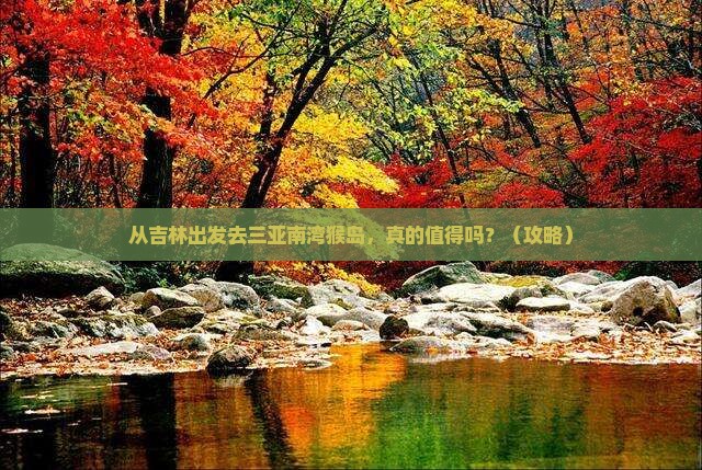 吉林出发三亚南湾猴岛旅游
