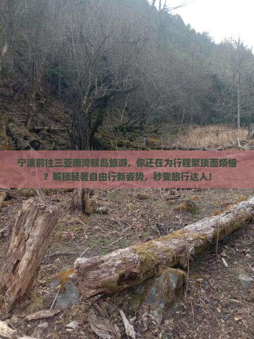 宁波前往三亚南湾猴岛旅游