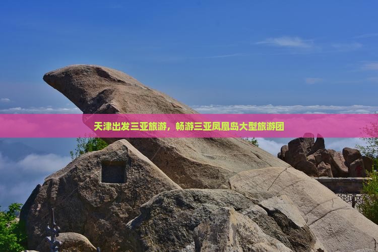 天津出发三亚凤凰岛大型旅游团