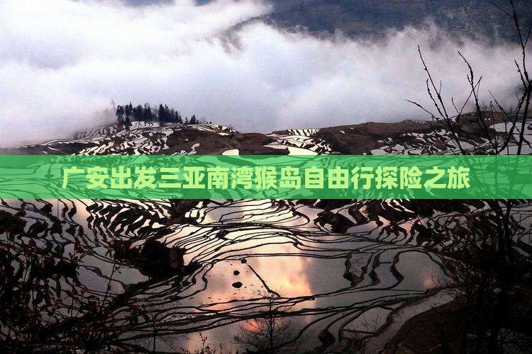 广安出发三亚南湾猴岛自由行探险之旅