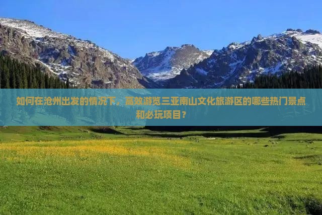如何在沧州出发的情况下，高效游览三亚南山文化旅游区的哪些热门景点和必玩项目？