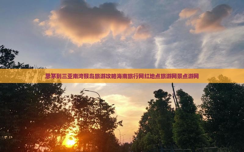 思茅到三亚南湾猴岛旅游攻略海南旅行网红地点旅游网景点游网