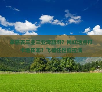 孝感去三亚三亚湾旅游？网红地点打卡地在哪？飞猪任性值拉满