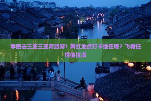孝感去三亚三亚湾旅游？网红地点打卡地在哪？飞猪任性值拉满