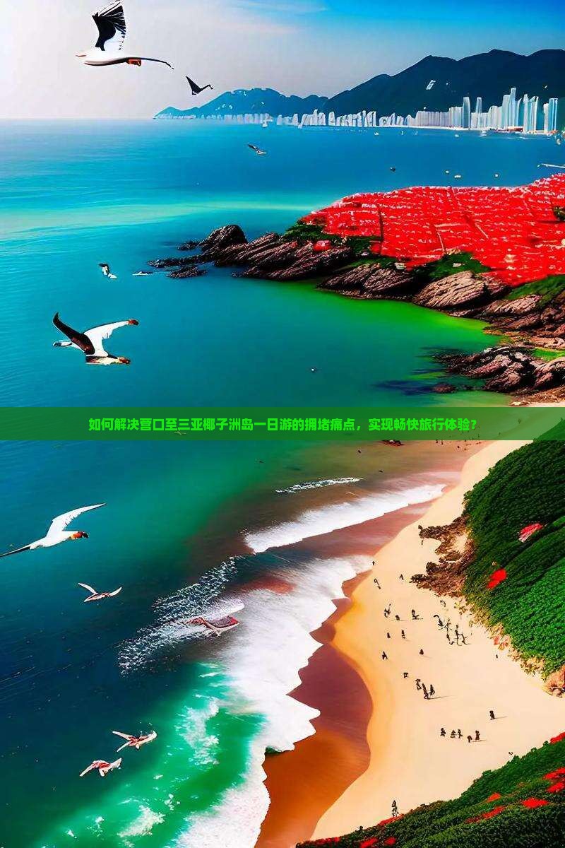 如何解决营口至三亚椰子洲岛一日游的拥堵痛点，实现畅快旅行体验？