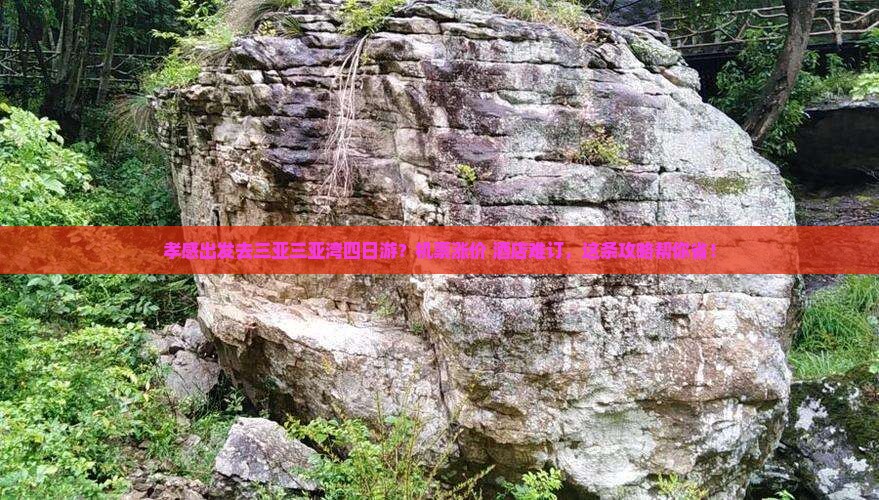 孝感出发去三亚三亚湾四日游？机票涨价+酒店难订，这条攻略帮你省！