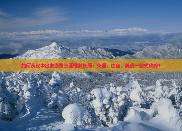 如何从汉中出发游览三亚椰梦长廊：交通、住宿、美食一站式攻略？