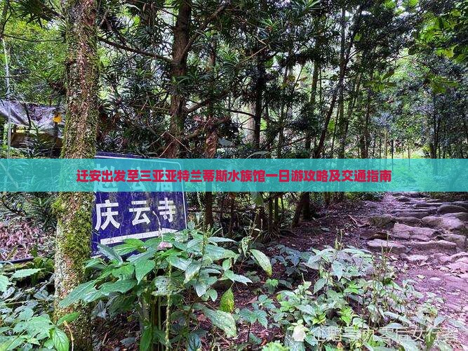 迁安出发至三亚亚特兰蒂斯水族馆一日游攻略及交通指南