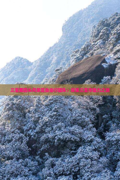 三亚鹿回头风景区自由行团队：探索三亚市魅力之旅