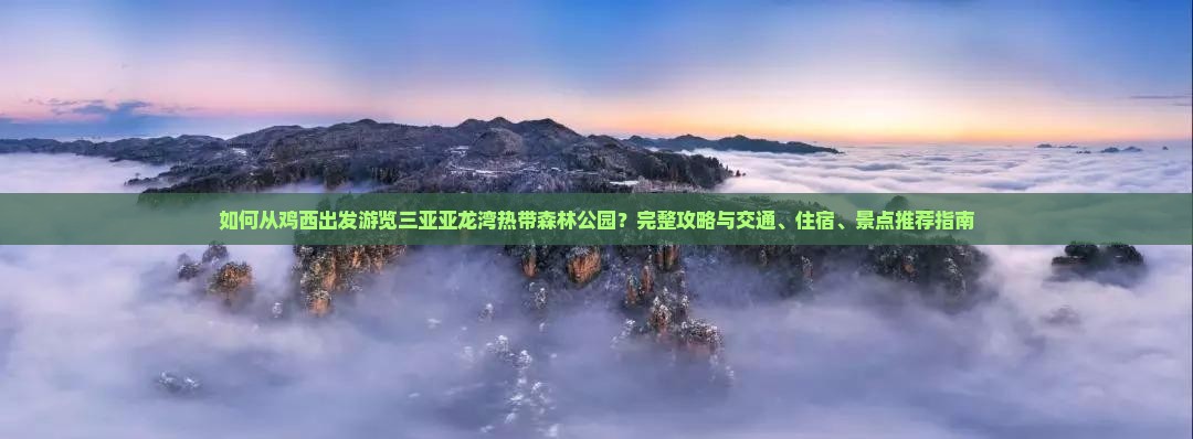 如何从鸡西出发游览三亚亚龙湾热带森林公园？完整攻略与交通、住宿、景点推荐指南