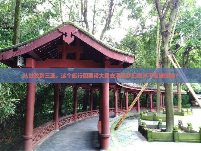 从甘孜到三亚，这个旅行团要带大家去海昌梦幻海洋不夜城探险？