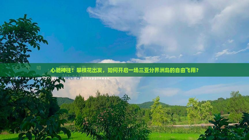 心驰神往！攀枝花出发，如何开启一场三亚分界洲岛的自由飞翔？