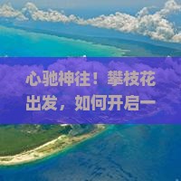 心驰神往！攀枝花出发，如何开启一场三亚分界洲岛的自由飞翔？