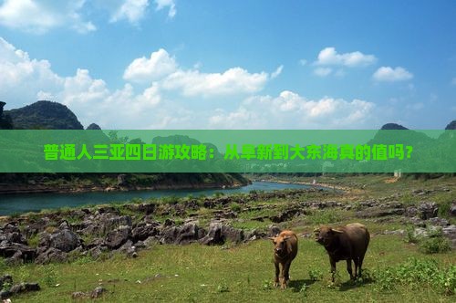 普通人三亚四日游攻略：从阜新到大东海真的值吗？