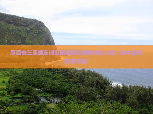 鹰潭去三亚蜈支洲岛旅游时有哪些特色小吃？途中如何安排行程？