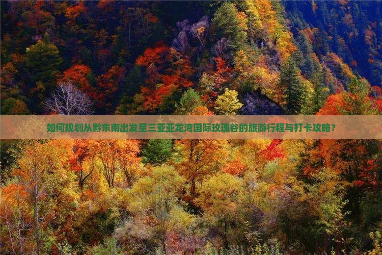 如何规划从黔东南出发至三亚亚龙湾国际玫瑰谷的旅游行程与打卡攻略？