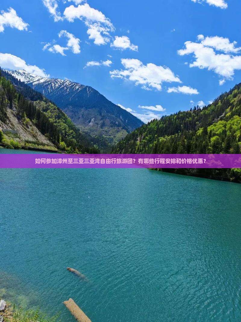 如何参加漳州至三亚三亚湾自由行旅游团？有哪些行程安排和价格优惠？