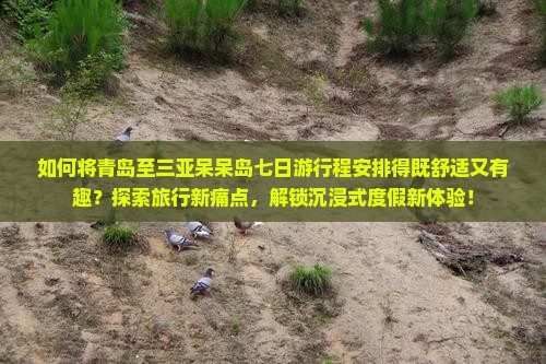 如何将青岛至三亚呆呆岛七日游行程安排得既舒适又有趣？探索旅行新痛点，解锁沉浸式度假新体验！