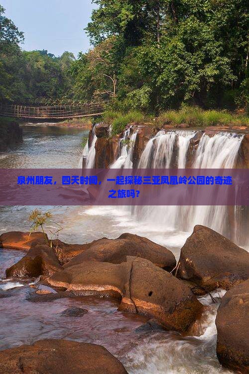 泉州朋友，四天时间，一起探秘三亚凤凰岭公园的奇迹之旅吗？