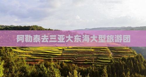 阿勒泰去三亚大东海大型旅游团