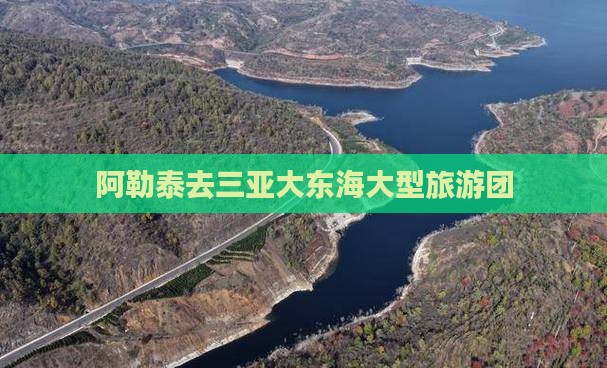 阿勒泰去三亚大东海大型旅游团