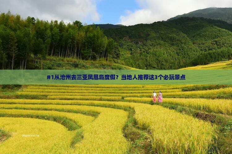 #1从沧州去三亚凤凰岛度假？当地人推荐这3个必玩景点