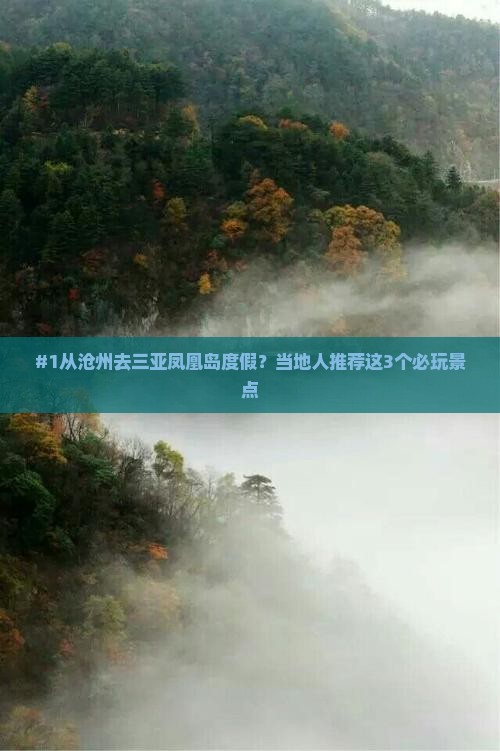 #1从沧州去三亚凤凰岛度假？当地人推荐这3个必玩景点
