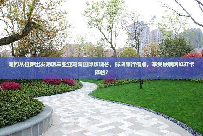 如何从拉萨出发畅游三亚亚龙湾国际玫瑰谷，解决旅行痛点，享受最新网红打卡体验？