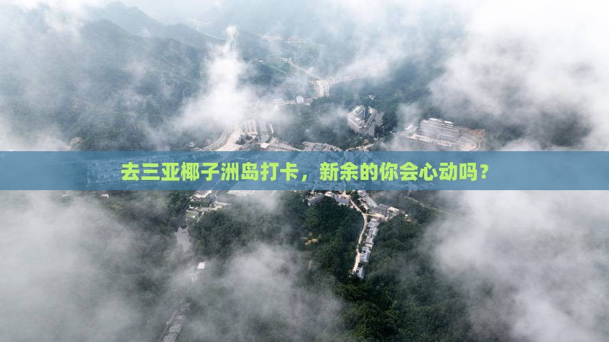 去三亚椰子洲岛打卡，新余的你会心动吗？