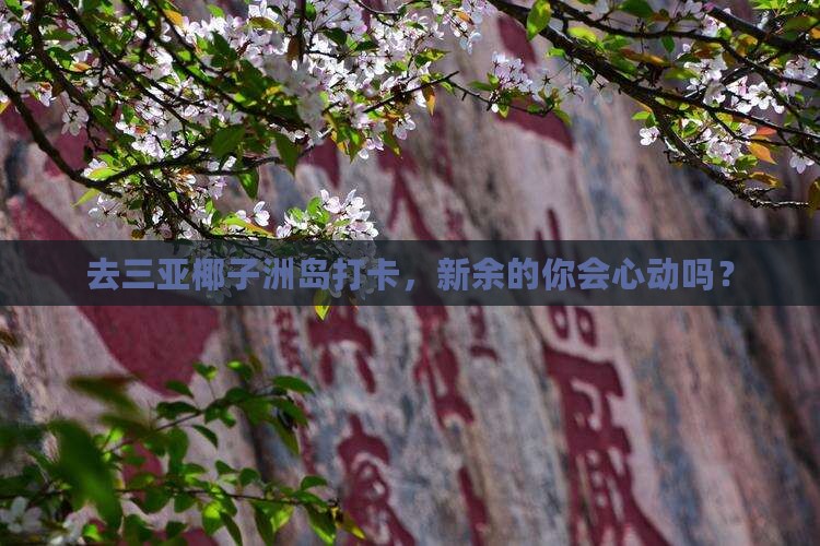 去三亚椰子洲岛打卡，新余的你会心动吗？
