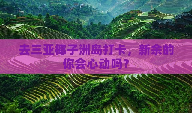 去三亚椰子洲岛打卡，新余的你会心动吗？