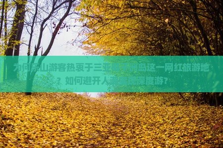 为何乐山游客热衷于三亚椰子洲岛这一网红旅游地？如何避开人潮实现深度游？
